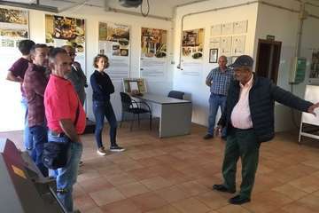 Marina Albiol visitó la almazara del Centro Ecológico y Cultural Los Olivos (Foto TA)