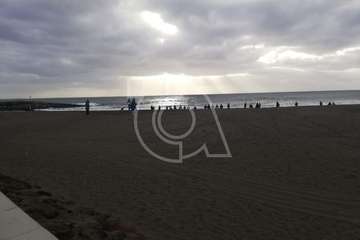 Cachalote muerto varado en la playa de Melenara (Foto TA y Naida Pérez González)