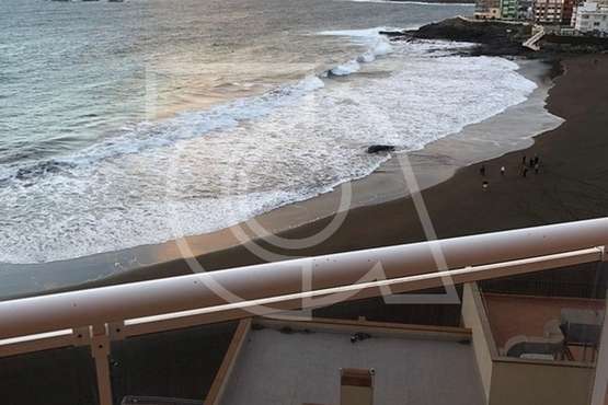 Cachalote muerto varado en la playa de Melenara (Foto TA y Naida Pérez González)