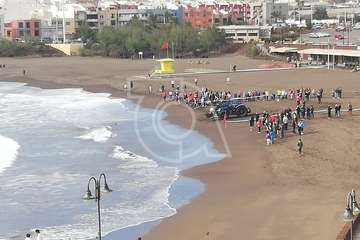 Cachalote muerto varado en la playa de Melenara (Foto TA y Naida Pérez González)