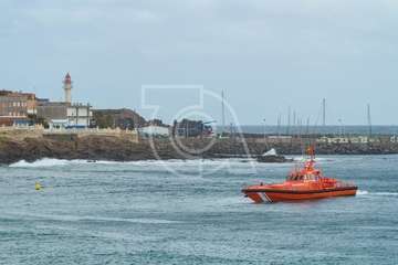 Cachalote muerto varado en la playa de Melenara (Foto Antonio Rico)