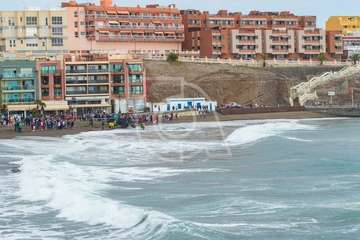 Cachalote muerto varado en la playa de Melenara (Foto Antonio Rico)