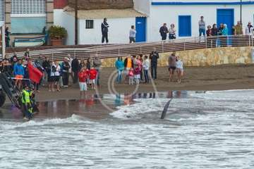 Cachalote muerto varado en la playa de Melenara (Foto Antonio Rico)
