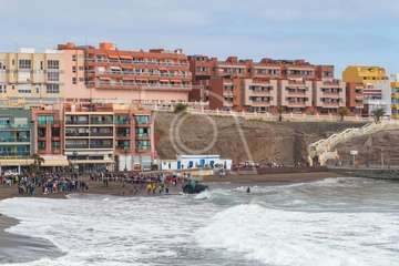 Cachalote muerto varado en la playa de Melenara (Foto Antonio Rico)