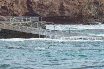 Cachalote muerto varado en la playa de Melenara (Foto Antonio Rico)