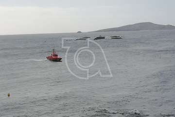 Cachalote muerto varado en la playa de Melenara (Foto TA y Naida Pérez González)