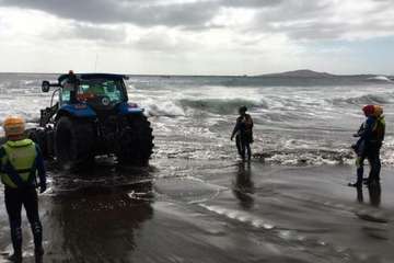 Cachalote muerto varado en la playa de Melenara (Foto TA y Naida Pérez González)