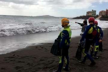 Cachalote muerto varado en la playa de Melenara (Foto TA y Naida Pérez González)