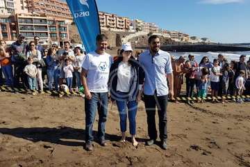 Suelta de una tortuga boba y de un vuelvepiedras en Melenara (Foto TA)