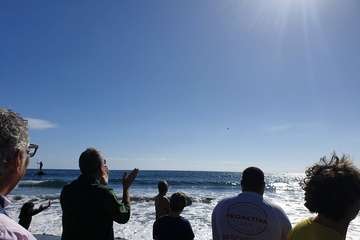 Suelta de una tortuga boba y de un vuelvepiedras en Melenara (Foto TA)