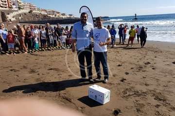 Suelta de una tortuga boba y de un vuelvepiedras en Melenara (Foto TA)