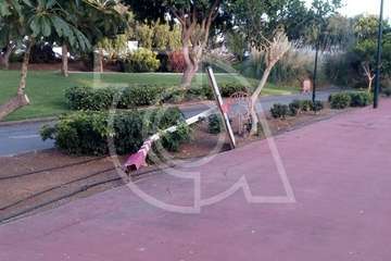 El Ayuntamiento ordena quitar la canasta del parque urbano de San Juan para evitar su caída (Foto TA)