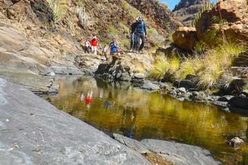 Ruta por el macizo de Amurga (Foto TA)