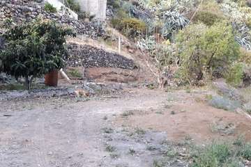 Antes y después del estado del espacio usado como vertedero de vehículos abandonados en Arenales (Foto TA)