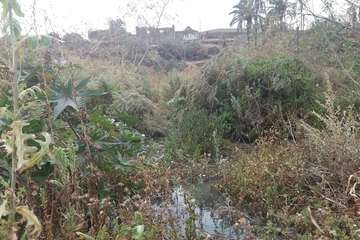 Vertido de aguas fecales en un barranquillo de Las Longueras (Foto cedida a TA)