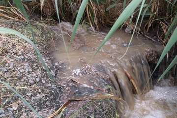 Vertido de aguas fecales en un barranquillo de Las Longueras (Foto cedida a TA)