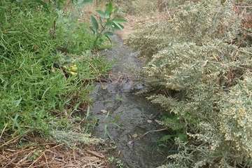 Vertido de aguas fecales en un barranquillo de Las Longueras (Foto cedida a TA)
