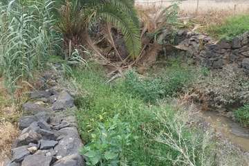 Vertido de aguas fecales en un barranquillo de Las Longueras (Foto cedida a TA)
