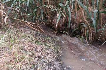 Vertido de aguas fecales en un barranquillo de Las Longueras (Foto cedida a TA)