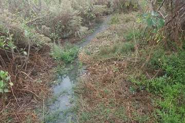 Vertido de aguas fecales en un barranquillo de Las Longueras (Foto cedida a TA)