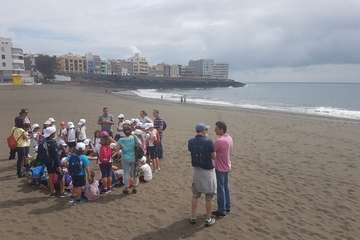 Una doble limpieza de playas para celebrar el Día del Medio Ambiente (Foto TA)