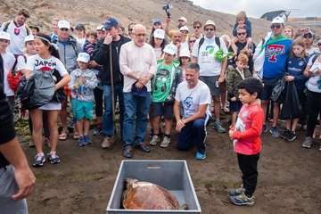Limpieza de la playa de la Condesa, en la costa de Jinámar (Foto TA)