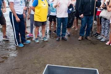 Limpieza de la playa de la Condesa, en la costa de Jinámar (Foto TA)