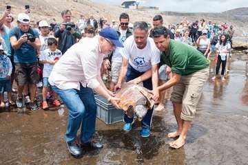 Limpieza de la playa de la Condesa, en la costa de Jinámar (Foto TA)