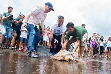 Limpieza de la playa de la Condesa, en la costa de Jinámar (Foto TA)