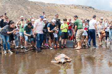 Limpieza de la playa de la Condesa, en la costa de Jinámar (Foto TA)