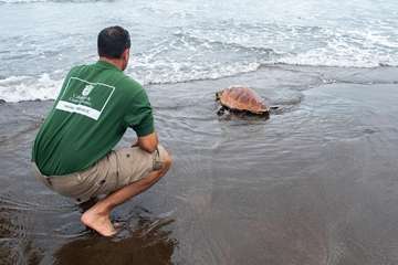Limpieza de la playa de la Condesa, en la costa de Jinámar (Foto TA)