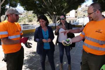 Dieciocho operarios se incorporan al dispositivo contra la culebra californiana (Foto Acfi Press)