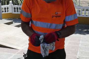 Dieciocho operarios se incorporan al dispositivo contra la culebra californiana (Foto Acfi Press)