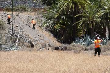 Dieciocho operarios se incorporan al dispositivo contra la culebra californiana (Foto Acfi Press)