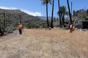 Dieciocho operarios se incorporan al dispositivo contra la culebra californiana (Foto Acfi Press)