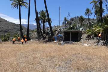 Dieciocho operarios se incorporan al dispositivo contra la culebra californiana (Foto Acfi Press)