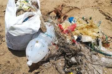 Limpieza llevada a cabo por voluntarios en la playa de Aguadulce (Foto TA)