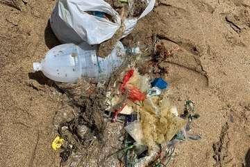 Limpieza llevada a cabo por voluntarios en la playa de Aguadulce (Foto TA)