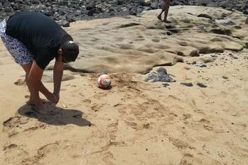 Limpieza llevada a cabo por voluntarios en la playa de Aguadulce (Foto TA)
