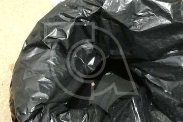 El vandalismo causa destrozos a los baños del parque de San Juan (Foto TA)