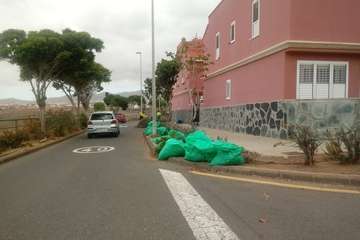 Primeras actuaciones del nuevo concejal de Parques y Jardines (Foto TA)