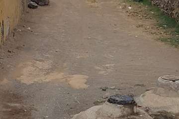 Limpieza de rastrojos amontonados en el tramo bajo del barranquillo de Melenara (Foto TA)