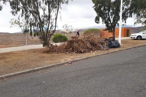  Temor en La Lomo de Jinámar por los montones de restos vegetales secos (Foto TA)