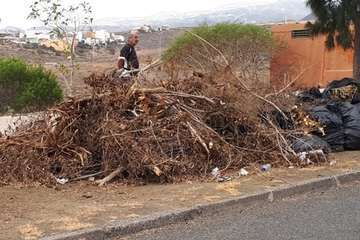 Temor en La Lomo de Jinámar por los montones de restos vegetales secos (Foto TA)