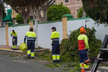 Parques y Jardines poda El Calero y sus alrededores (Foto Antonio Rico y TA)
