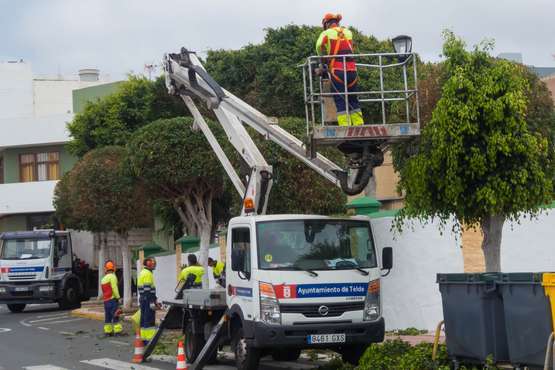 Parques y Jardines poda El Calero y sus alrededores (Foto Antonio Rico y TA)