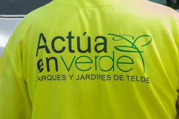 Parques y Jardines poda El Calero y sus alrededores (Foto Antonio Rico y TA)