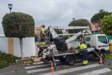 Parques y Jardines poda El Calero y sus alrededores (Foto Antonio Rico y TA)