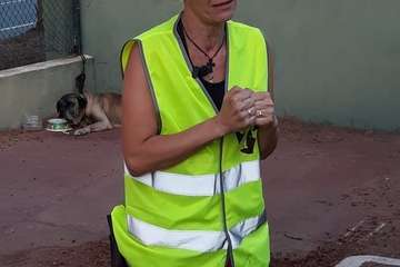  La edila Auri Saavedra, de Telde, de voluntaria en Agaete (Foto TA)