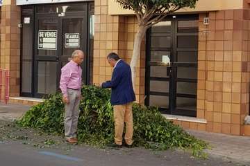 La Barranquera aplaude la poda de sus árboles (Foto TA)